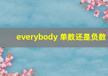 everybody 单数还是负数